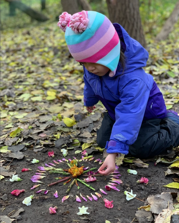nature art flower petals